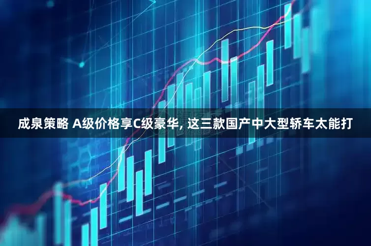 成泉策略 A级价格享C级豪华, 这三款国产中大型轿车太能打