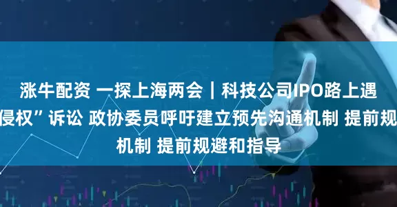 涨牛配资 一探上海两会｜科技公司IPO路上遇“表情包侵权”诉讼 政协委员呼吁建立预先沟通机制 提前规避和指导
